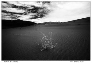 6770_eureka-dunes_nik-4