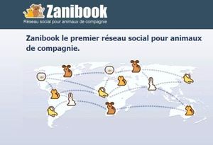 zanibook