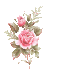 bouquet_de_roses