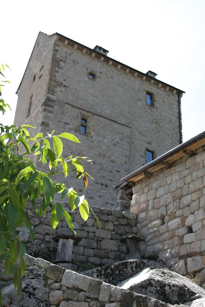 20090604_0051-Château de Miral