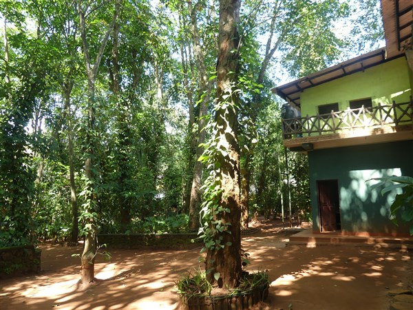 P1260578