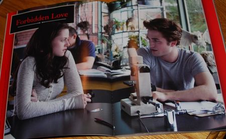 Forbidden_Love