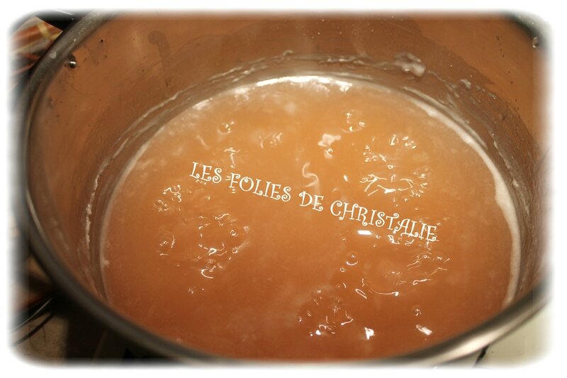 Gelée de pommes 8