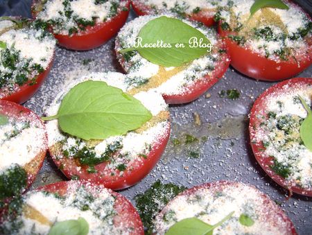 tomates___la_proven_ale1