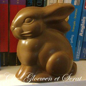 Lapin frey en chocolat chez gloewen et scrat (2)