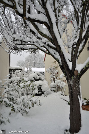 Jardin_Sylvain