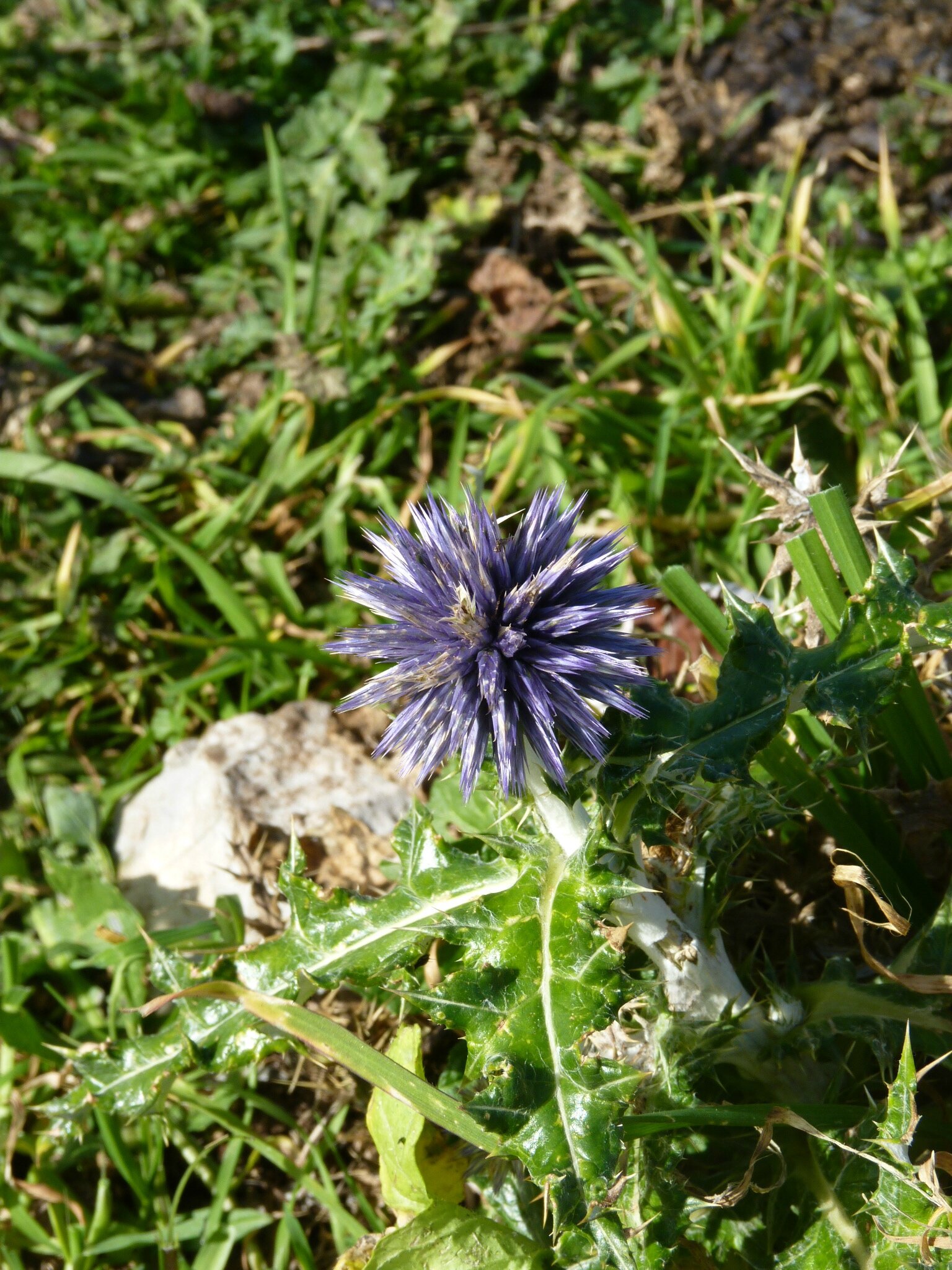 P1080414