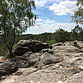 Entre granit et végétal, randonnées en forêt de <b>Fontainebleau</b>