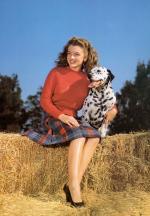 1945-model-farmer-red_sweater-010-1-by_potter_hueth-1