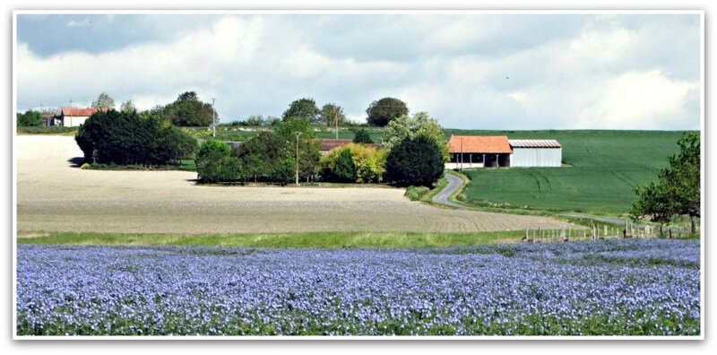 S49-A la campagne