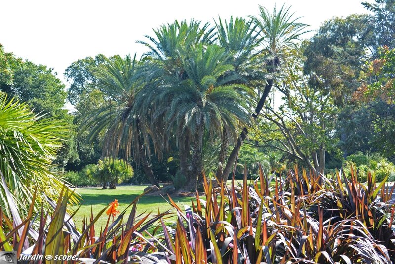 Jardin Olbius Riquier - 83400 Hyères-les-Palmiers
