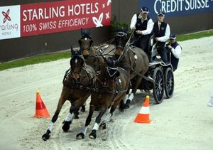 concours attelage
