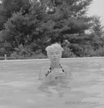 1955-connecticut-SP-Swimming_Pool-065-1-MHG-MMO-SP-16