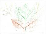 Empreintes pastel