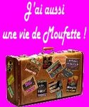 Les_tribulations_d_une_moufette