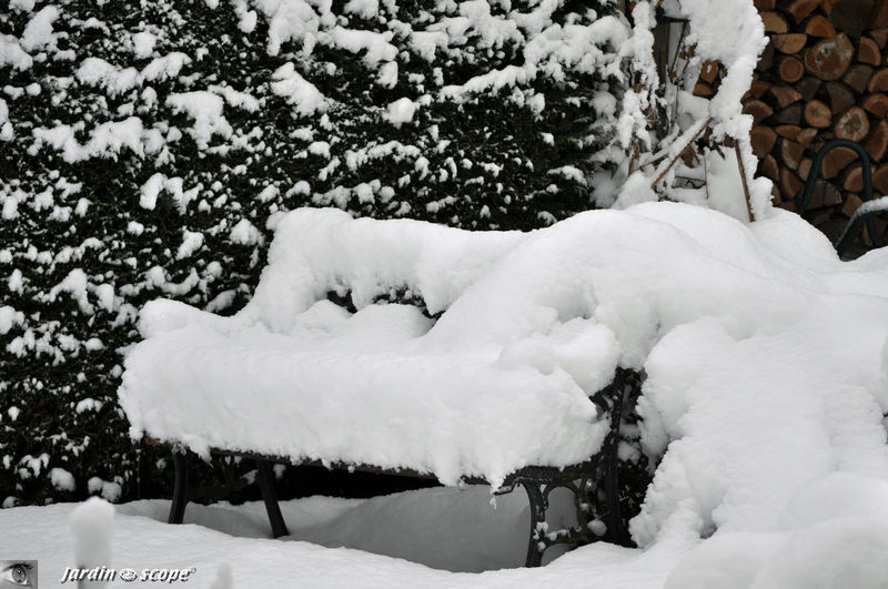 Banc du jardin habillé d'un confortable coussin neigeux