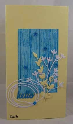 20_Cath_lacarterine