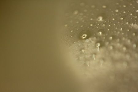 IMG_5448_450