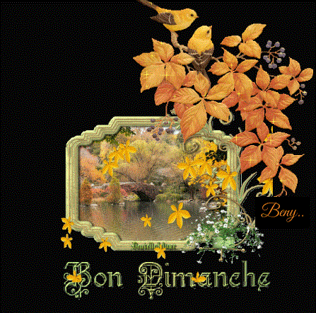&abon dimanche automne