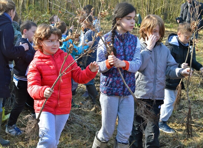 ARBORETUM PLANTATION 2017 élèves chênes rouvres