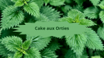 1 ortie(2)Cake aux orties