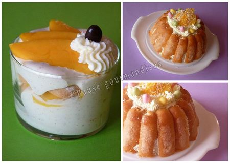 charlotte mangue chocolat blanc (30)