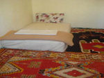 single_20bed