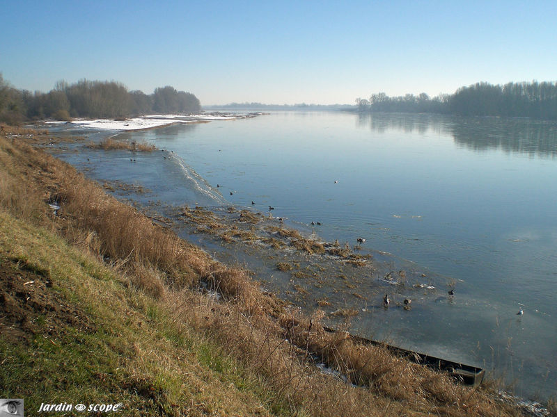 La Loire en Amont de Combleux (Janvier 2009)