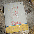 Pour Thibo