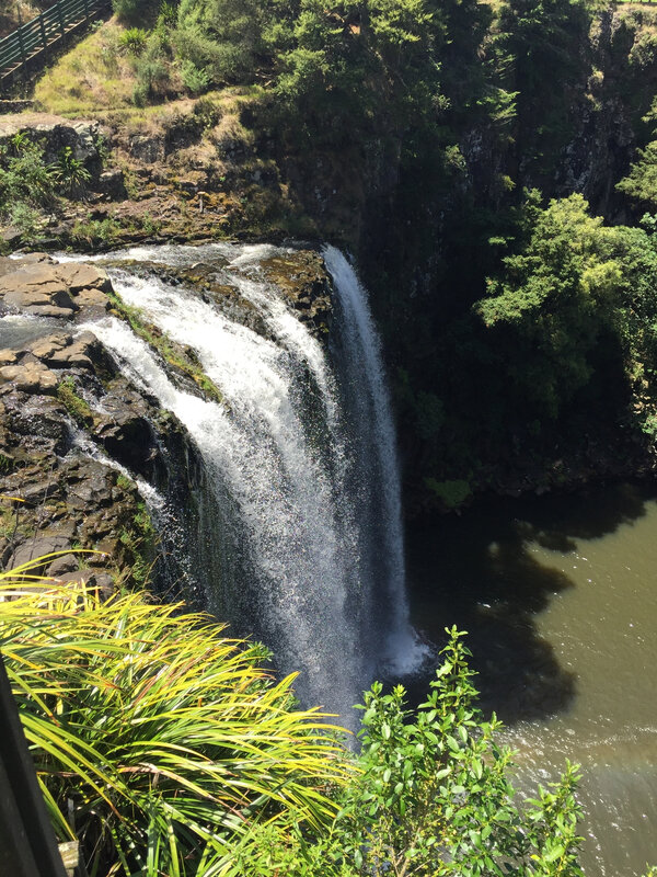 Whangarei_falls_PDV1