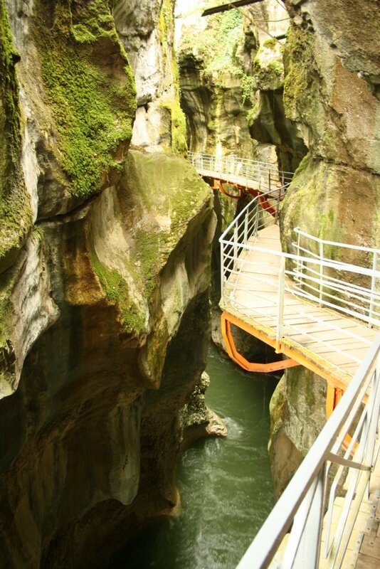 cheval - Gorges du Fier 156