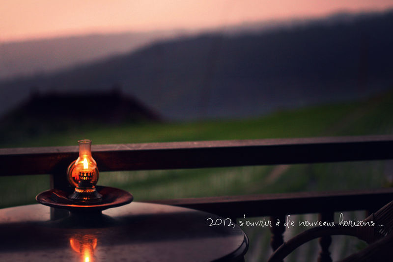 VOEUX2012_small