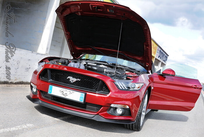 MustangV8_Tasunkaphotos2018_04