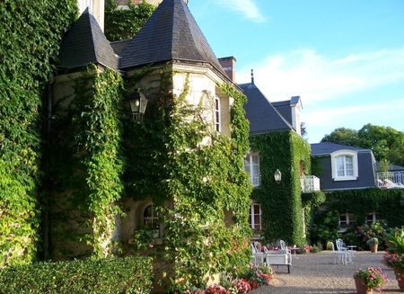 HÔTEL LES HAUTS DE LOIRE_Onzain