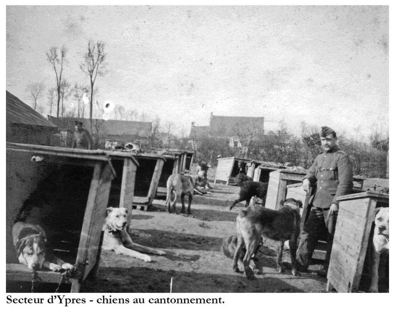 photos cap duchêne 1914 30