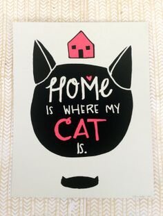 homeiswheremycatis