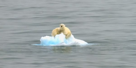 1821_article-1267613431136-0887DDCC000005DC-568731_636x300_1_460x230