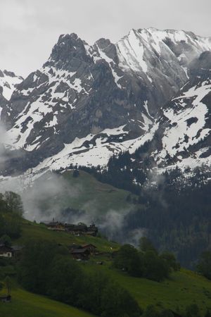 IMG_3782