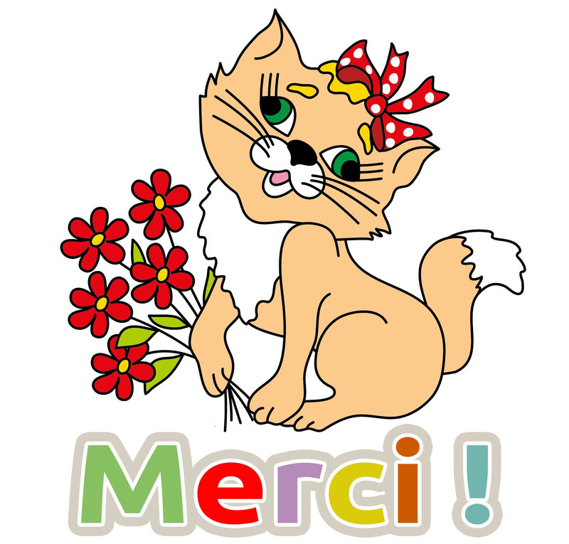 chat_images_-_merci_clip_art_gratuit_20160416_1209924659