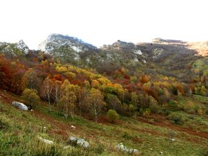 Les flancs du Pibeste en automne (2aw)