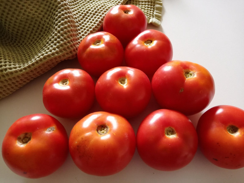 les tomates du jardin de beau papa