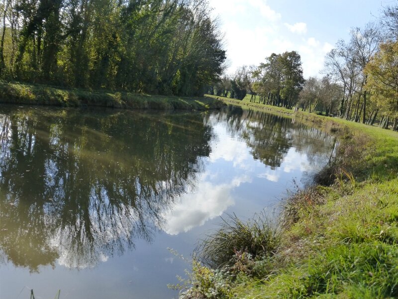 20141110 Bt de bois reflet nuages