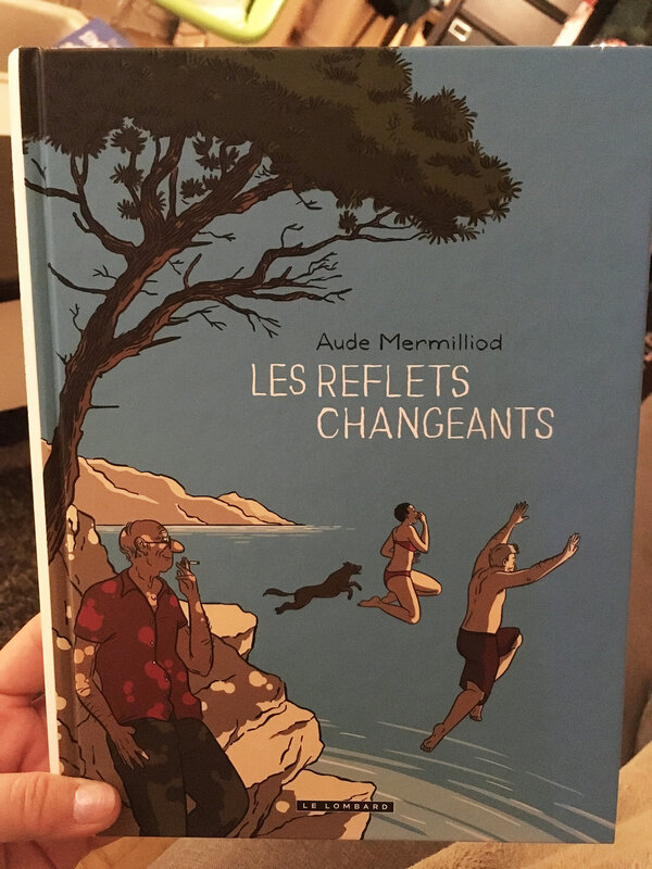 reflets-changeant-bd-lecture-ma-rue-bric-a-brac