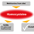 Homocystéine, <b>cholestérol</b> et levure de <b>riz</b> <b>rouge</b> ! 