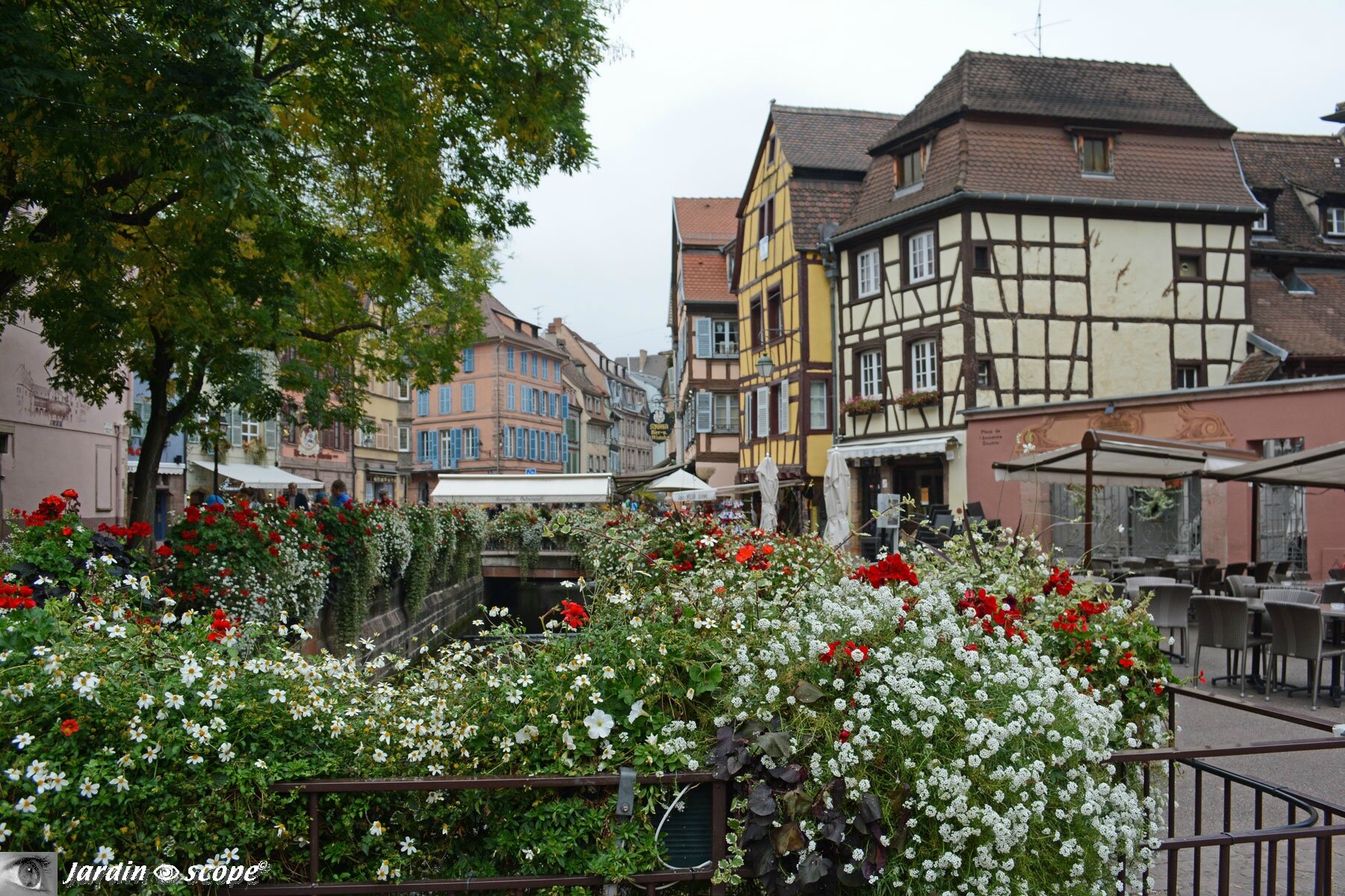 Place de l’Ancienne Douane en fleurs