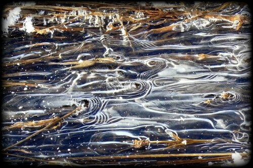 eau