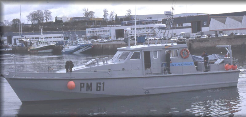 petrel-PM61