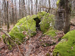 La_Tourette_Villeneuve_12