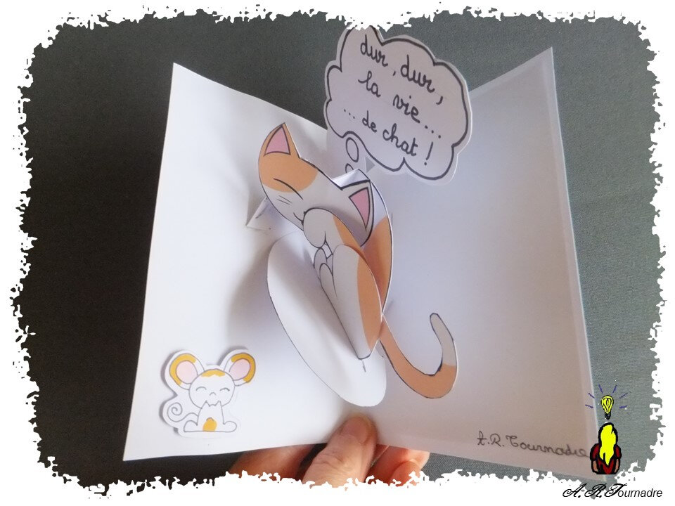 ART 2020 02 une vie de chat 3