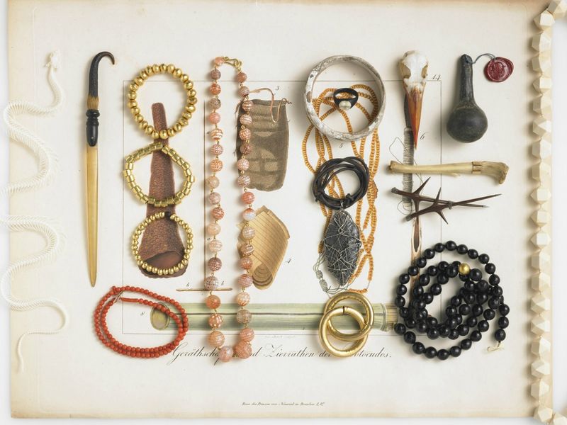 planche histoire naturelle